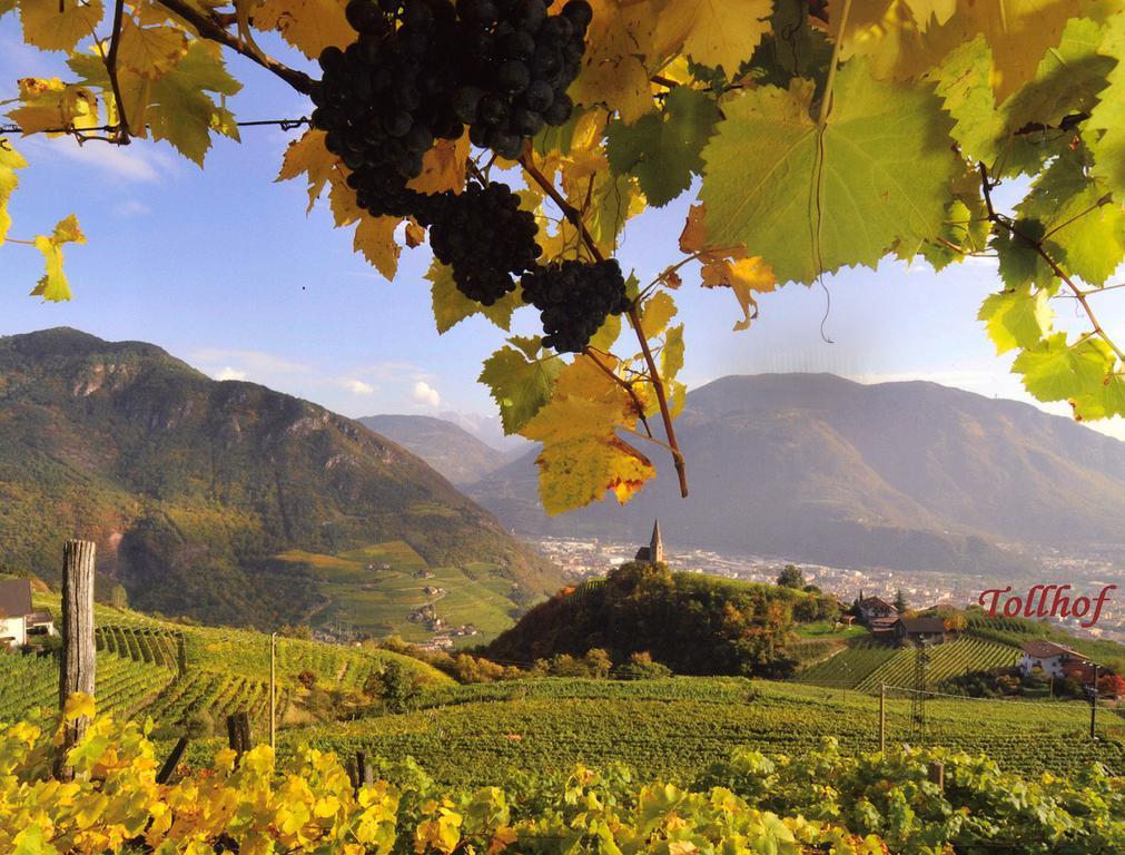 Tollhof Villa Bolzano Luaran gambar